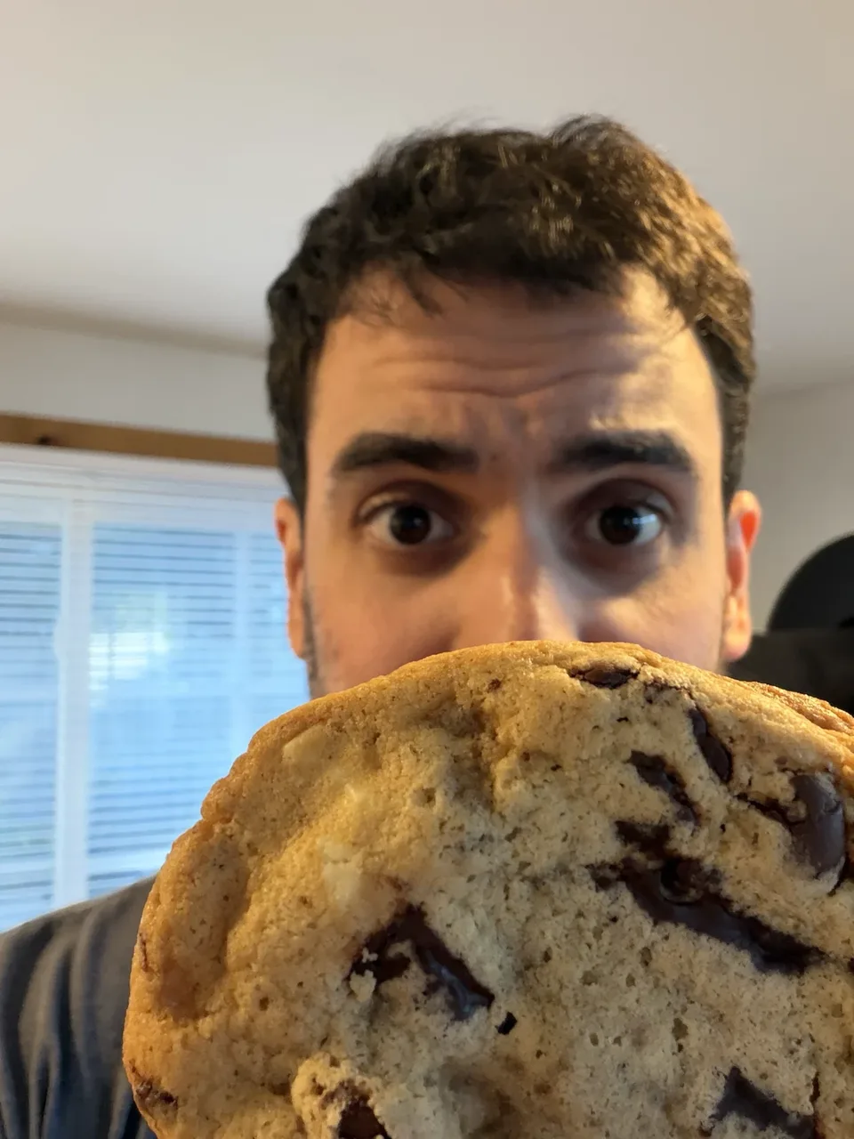 A chocolate chunk cookie held close to the camera.